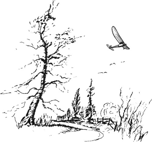 tree